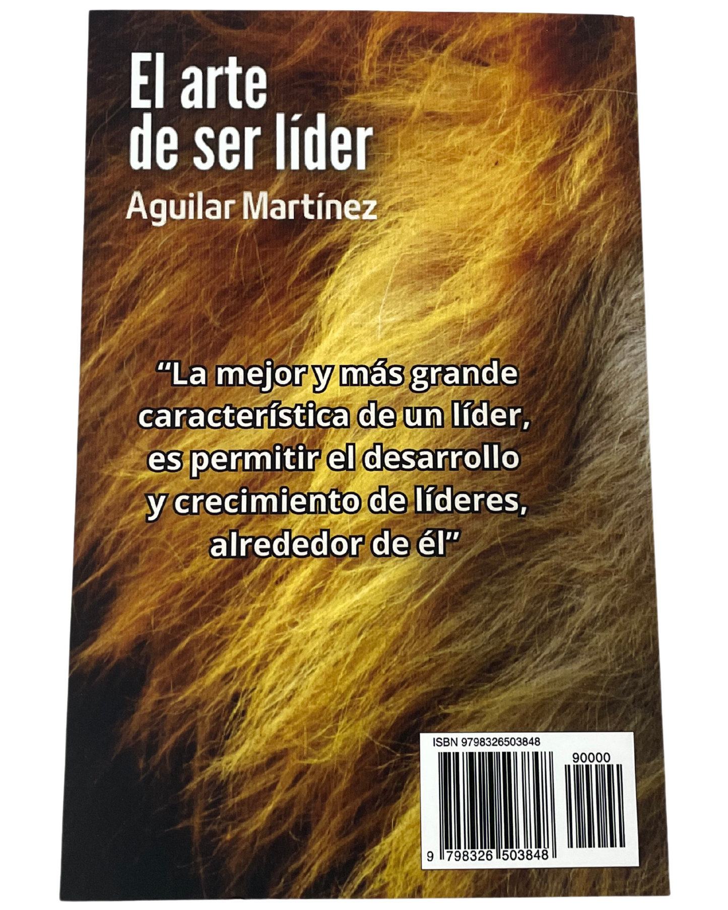 El arte de ser lider